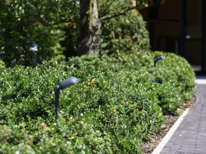 Латунный светодиодный световой столб