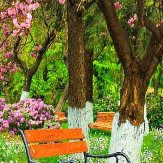 L-036 Фотообои DIVINO L&P 1х2.7 м L036