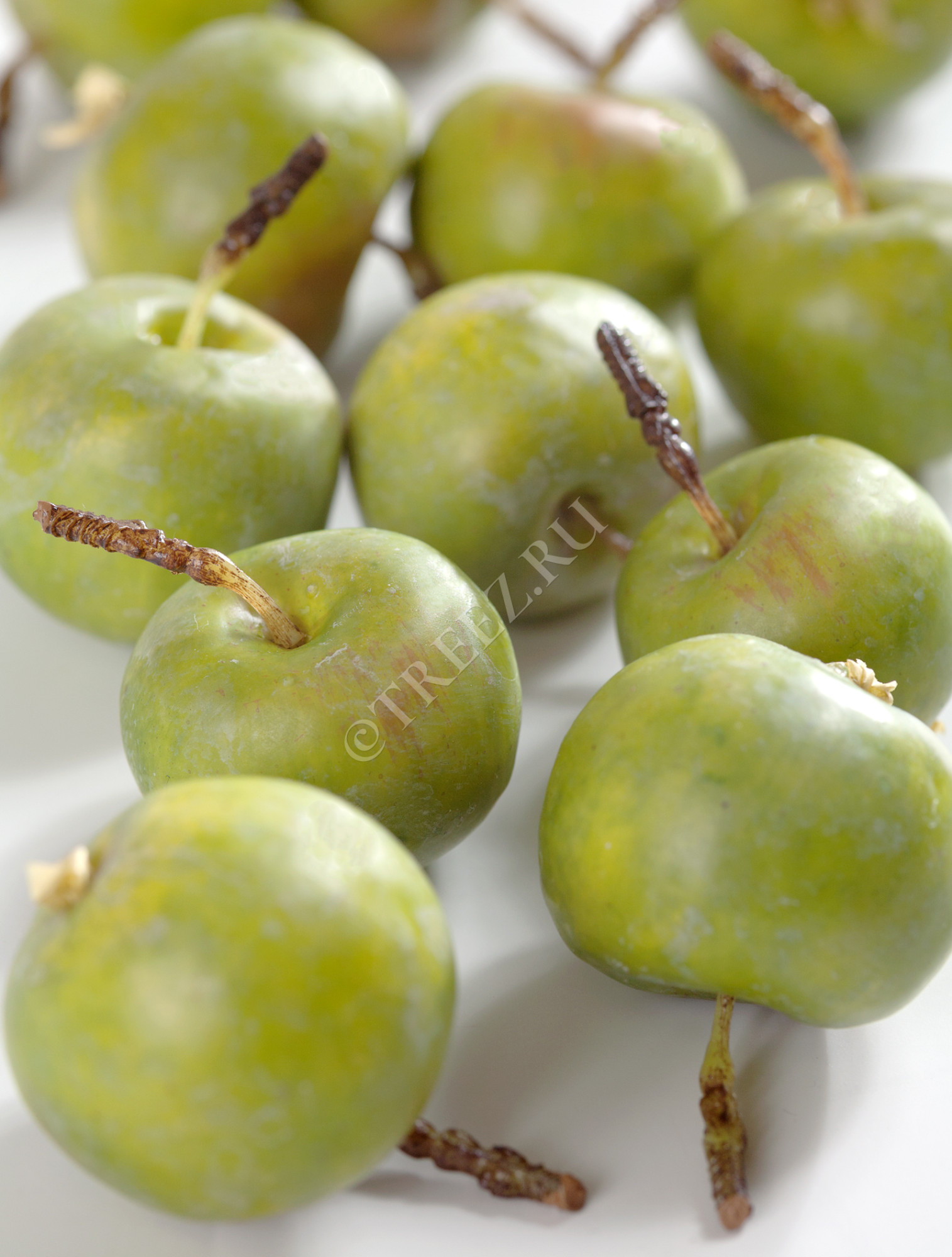 30.0610057 Яблочки-мини зеленые в коробке Цветочная коллекция 