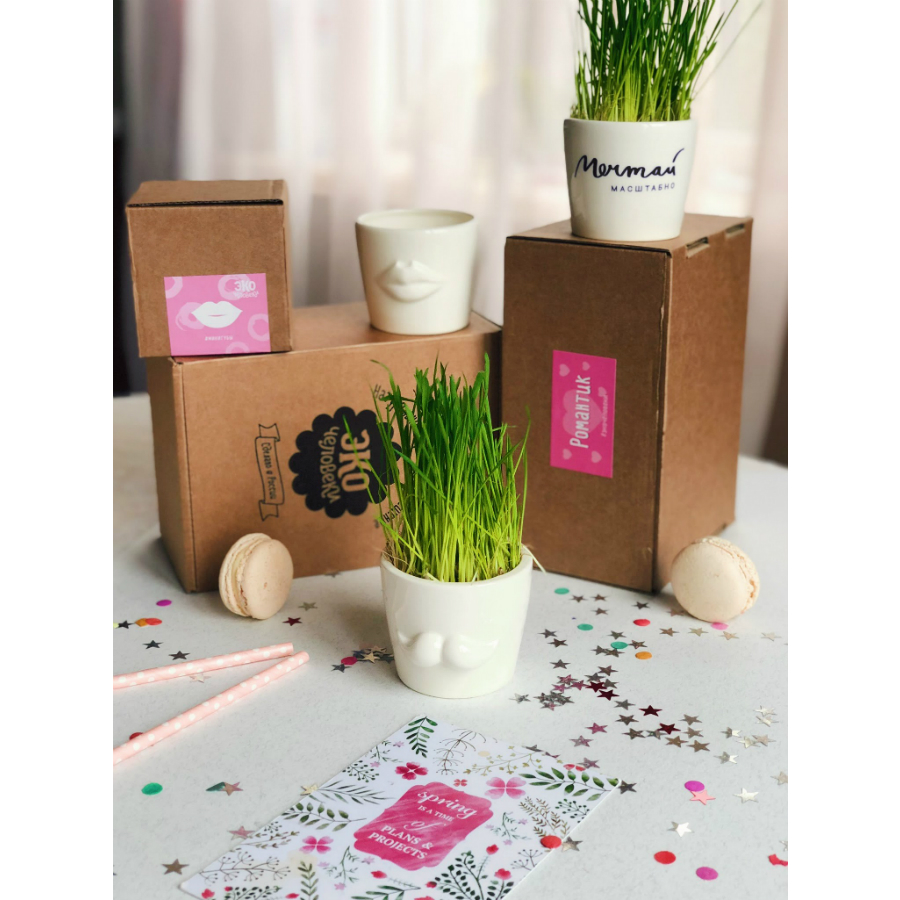 MIN-1-01 Набор для выращивания eco мини-кашпо «губы» Экочеловеки  - Вид №7