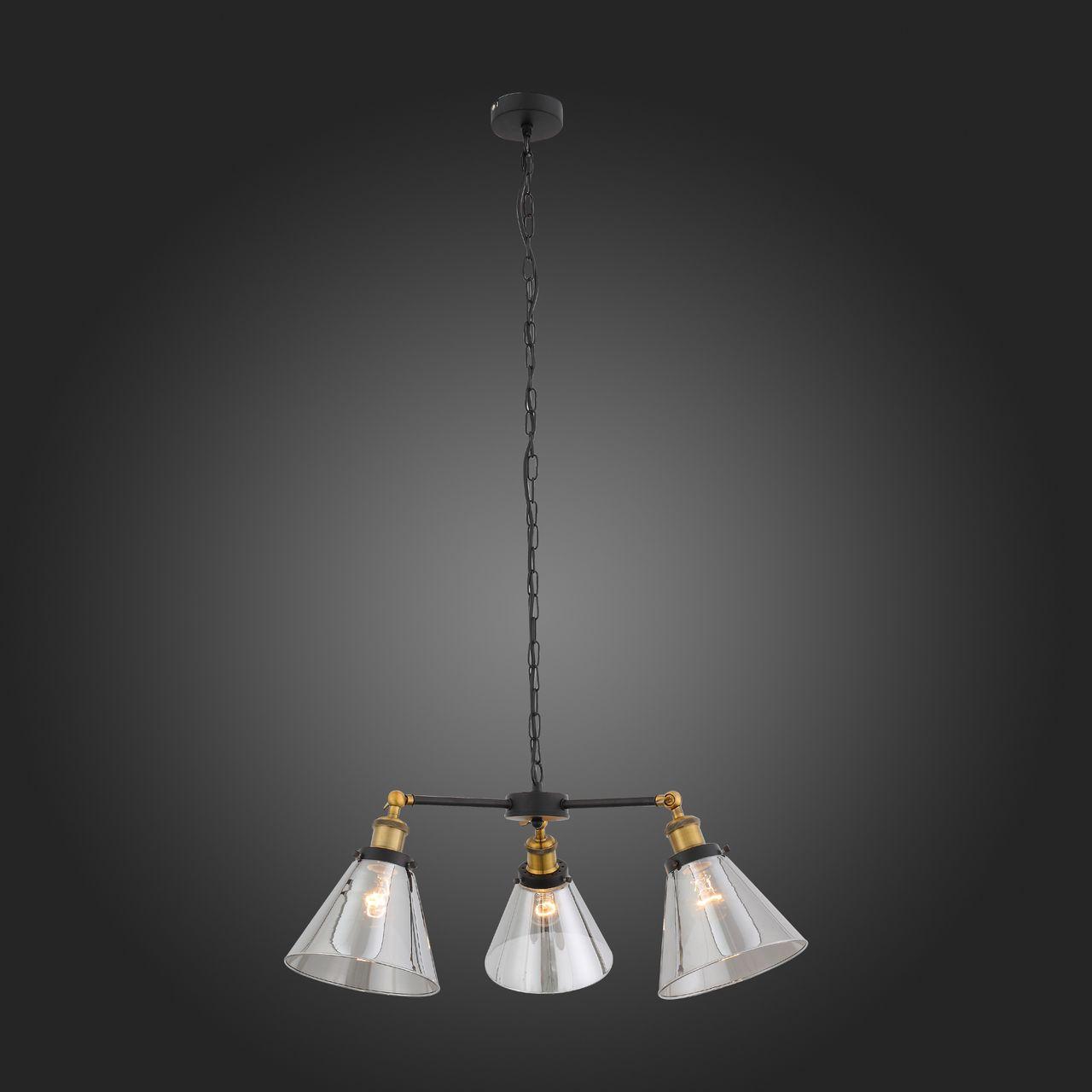 Подвесная люстра ST Luce Evoluto SL237.403.03 ST LUCE EVOLUTO 220483 Черный  - Вид №2