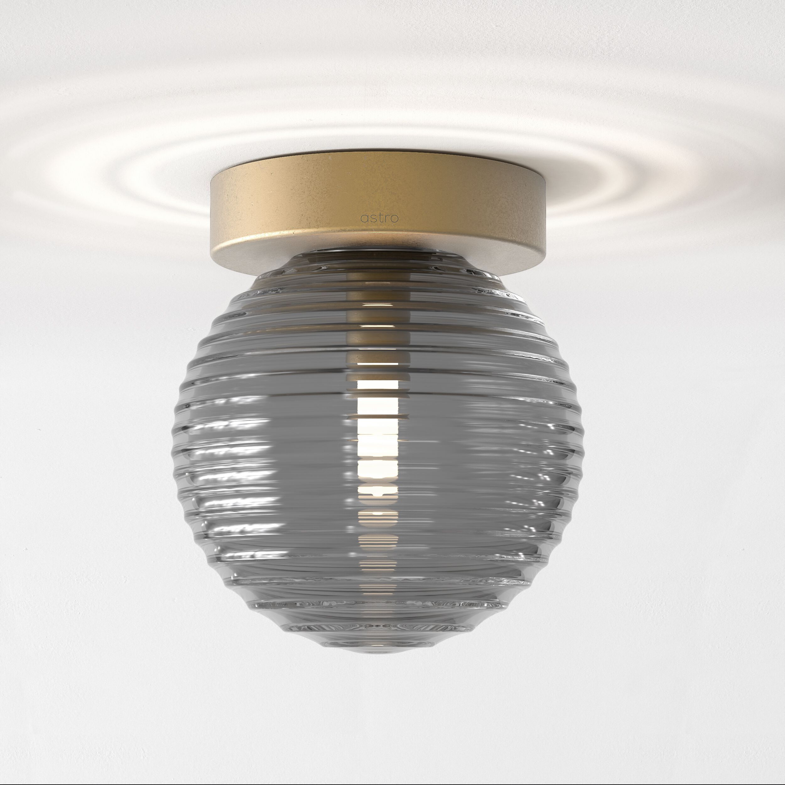 Стальной потолочный светильник Astro Lighting Tacoma ARCH-00109732 - Вид №32