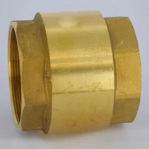 Клапан обратный пружинный EURA EXPORT с пластиковым затвором F.I.V. 3"