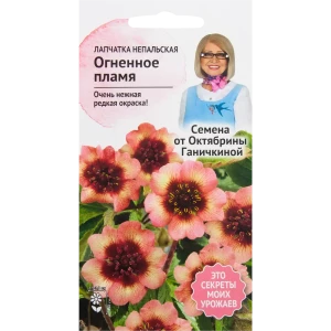 Лапчатка «Огненное пламя» 0.02 г 82481700 STLM-2058910