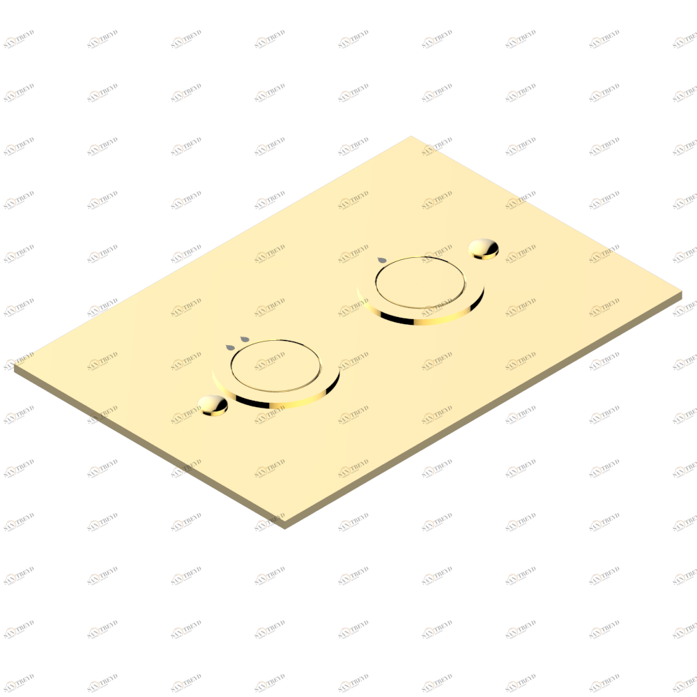 G00-219DC WC Flush Plate compatible with Geberit frame Duofix Omega 12CM H82 (contemporary model) Thg-paris прочие артикулы THG Покрытие PVD золотистый цвет G00-219DC CAT.F