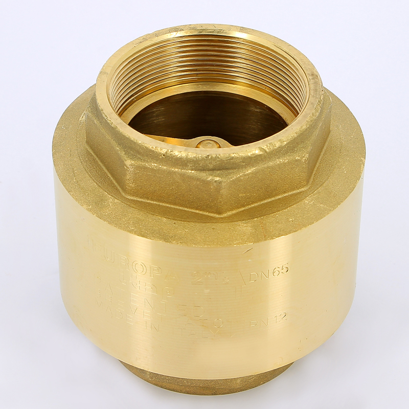 Клапан обратный пружинный EUROPA с металлическим затвором ITAP 2"1/2 100212 - Вид №3