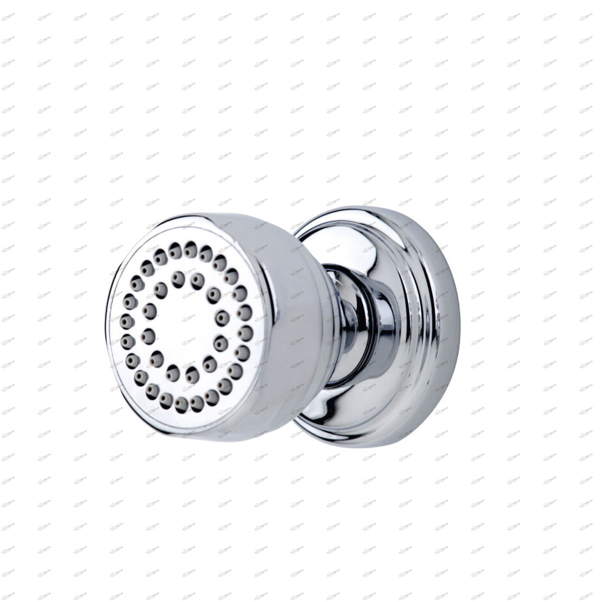 Traditional bathrooms Душ для тела Pr5570.nk 