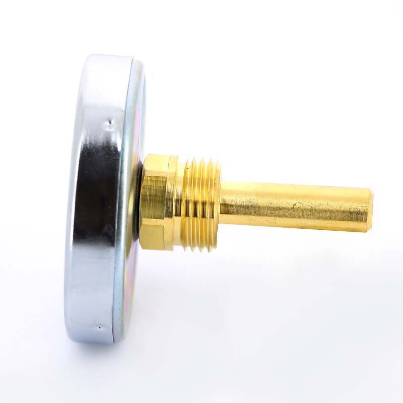 Термометр биметаллический F+R801 63 мм 120° WATTS с погружной гильзой 50 мм 10005800 - Вид №2