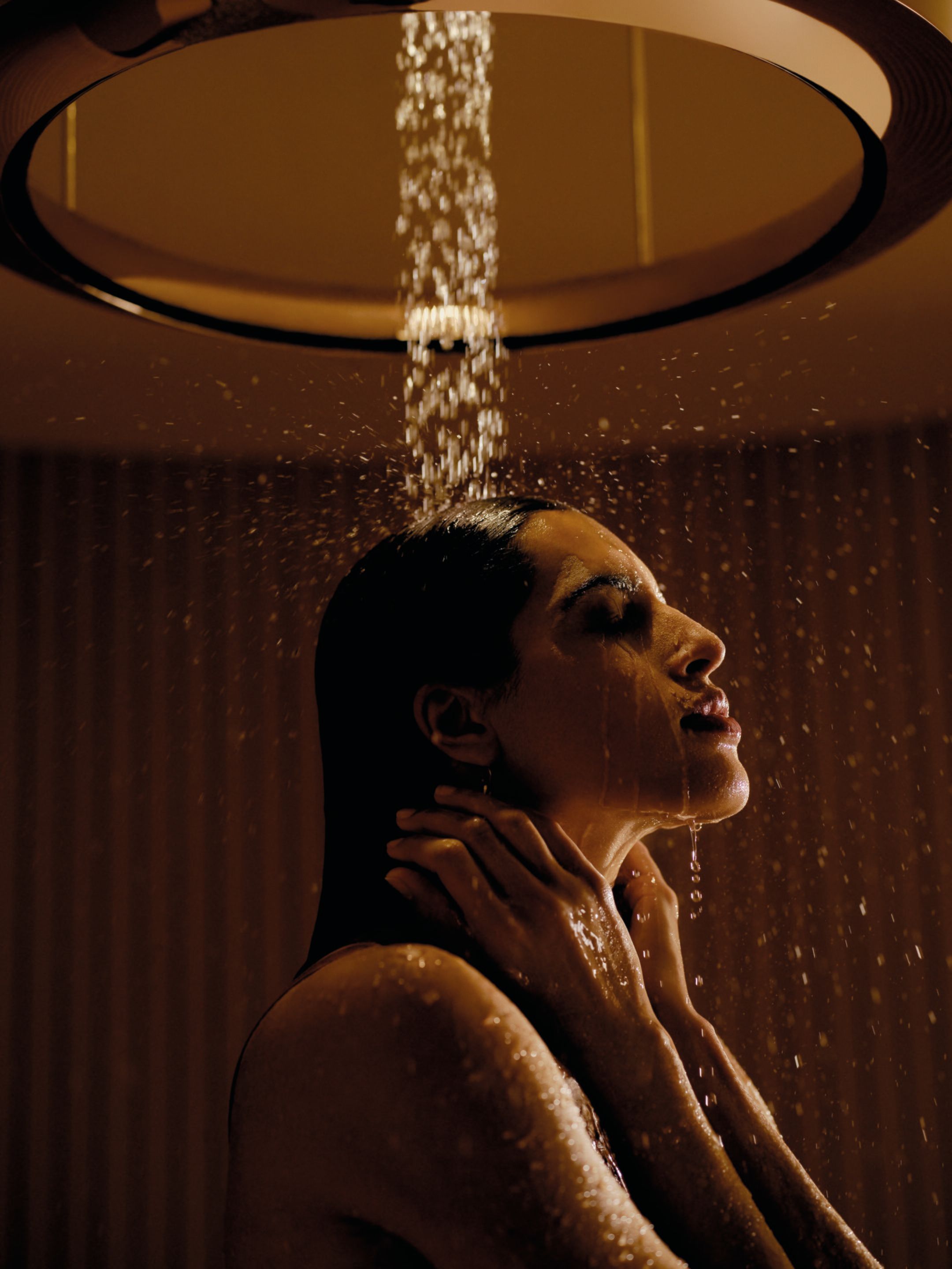 Круглая потолочная душевая головка с 3 струями DornBracht AQUAHALO ARCH-00016314 - Вид №3