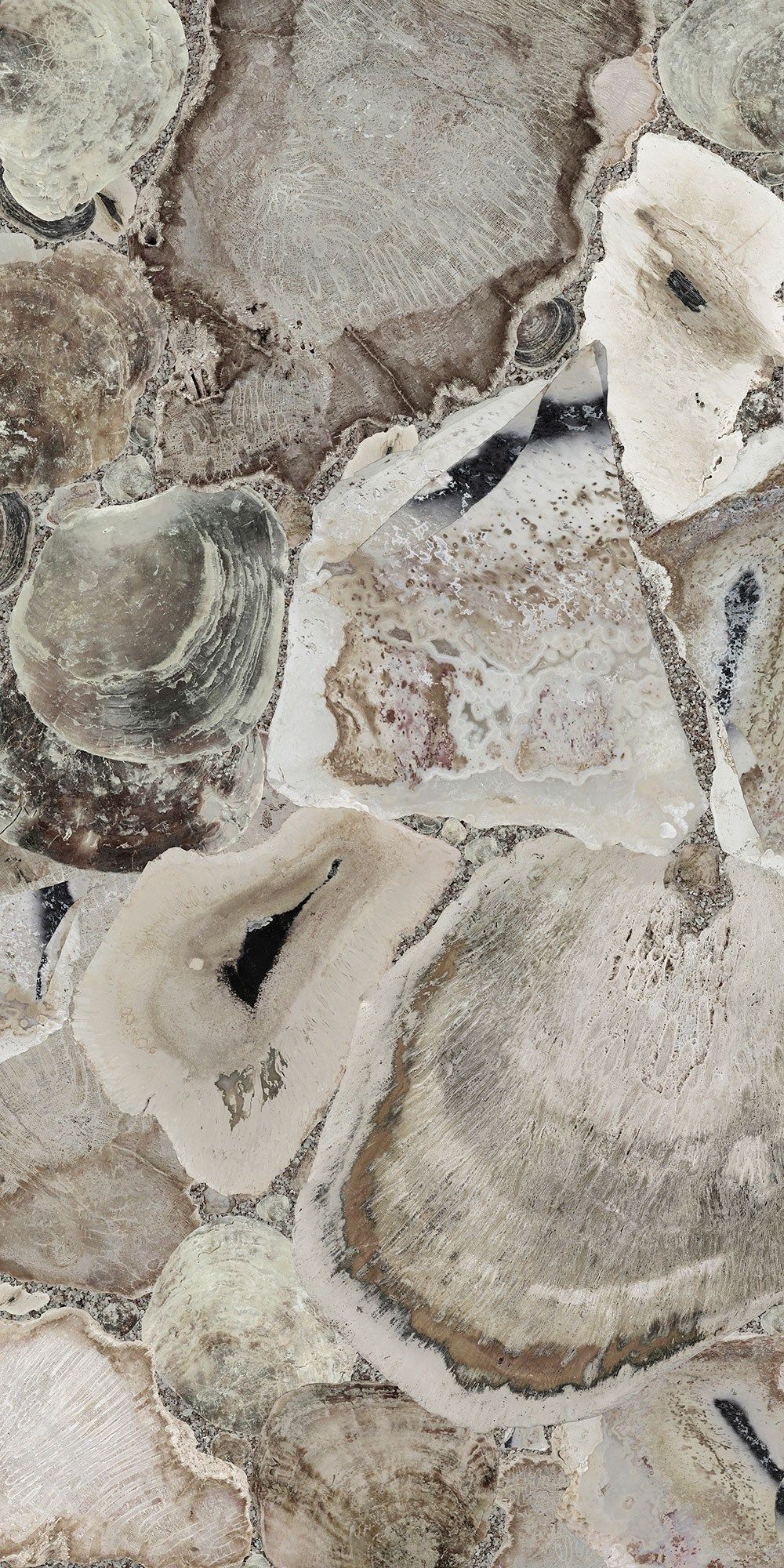 Декоративная панель из алюминия, стекла или ПММА Tecnografica Atlantis ARCH-00076648 - Вид №1