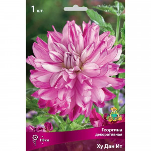 83593837 Георгина декоративная Ху Дан Ит луковица I