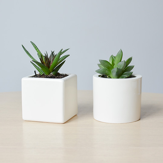 STM-3-02 Подвесное кашпо куб Экочеловеки  - Вид №2