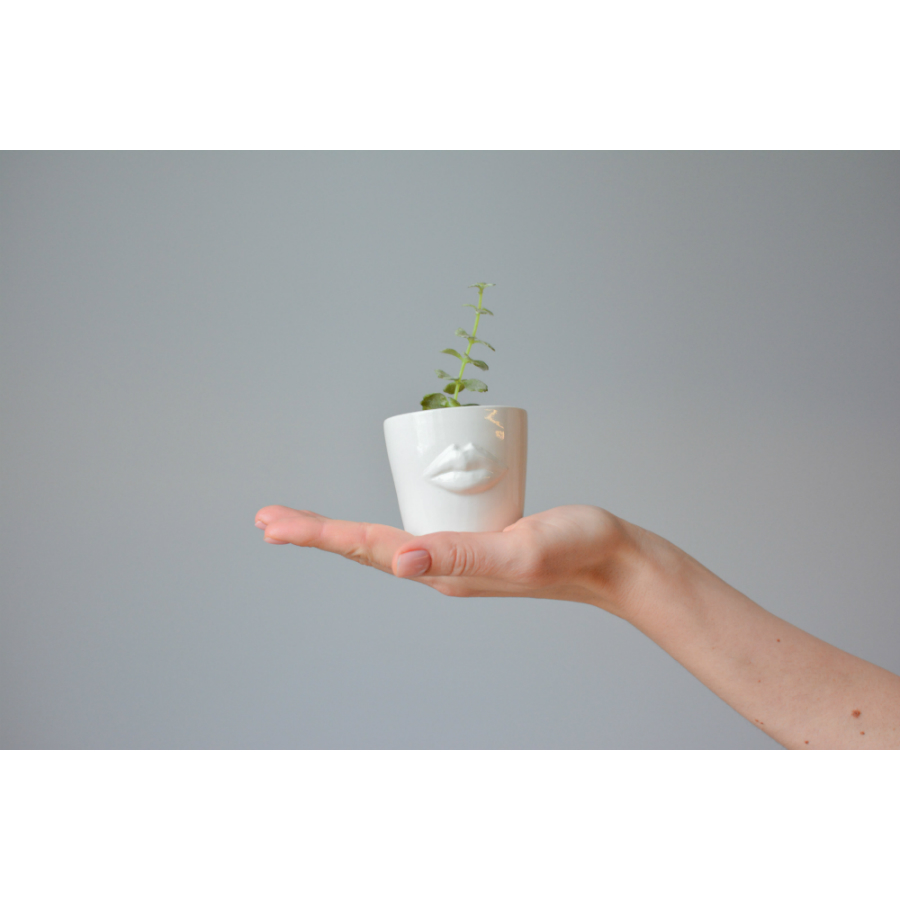 MIN-1-01 Набор для выращивания eco мини-кашпо «губы» Экочеловеки  - Вид №3