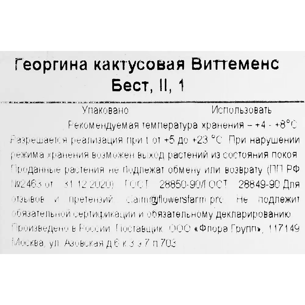 Георгина кактусовая Виттеменс Бест 86735809 STLM-2145080 Santreyd  - Вид №2