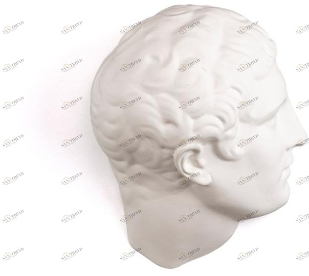 Seletti Настенный декоративный предмет из фарфора Memorabilia mvusevm 10079