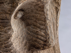 Резьба по дереву