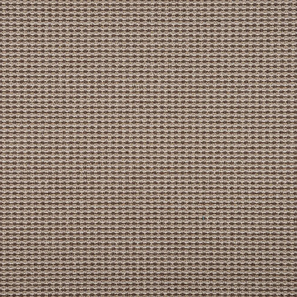 ЗАРТЕКС Ковровое покрытие «Парнас» бежево-коричневый бербер 3 м 82163713 STLM-0020809