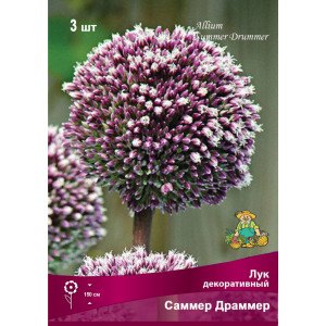 Лук декоративный Саммер драммер луковица 12/14, 3 шт.