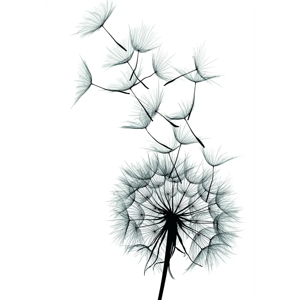 Постер «Лёгкость» 21x29.7 см 83308716 STLM-2028616 Santreyd 