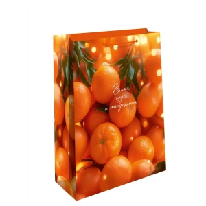 Подарочный пакет Арт и дизайн 42x33 см в ассортименте