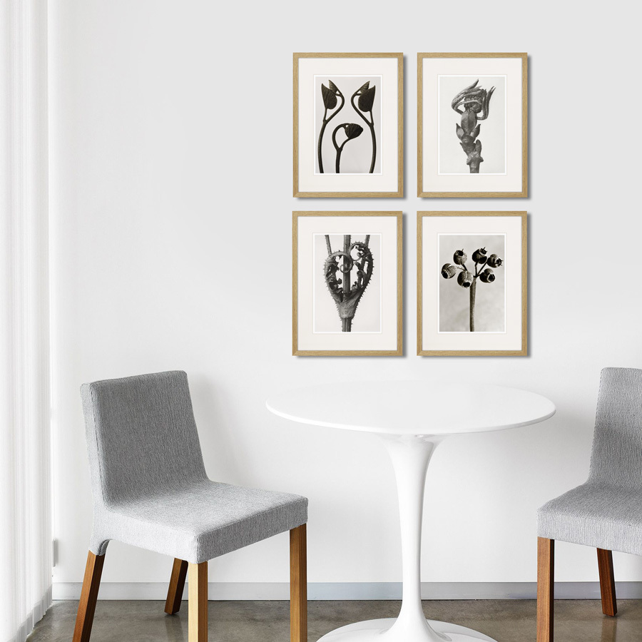 Литография на тонированной бумаге 42х32 см Botanical philosophy of forms №1, 1912г. КАРТИНЫ В КВАРТИРУ  264875 Белый;коричневый;разноцветный  - Вид №2