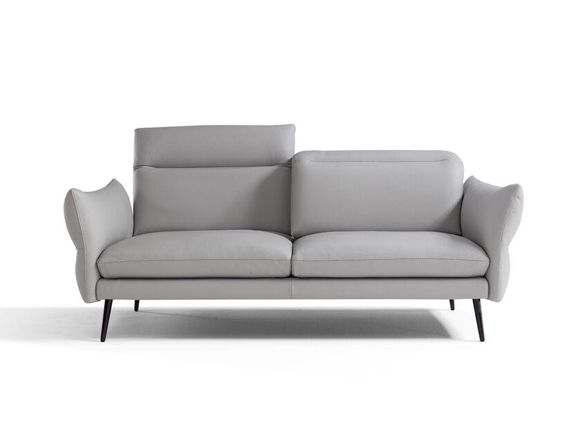 2-местный кожаный диван Max Divani MODULA ARCH-00070810