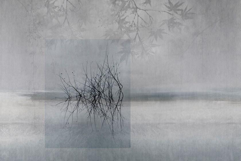 GLAMORA Пейзаж обои Collection x creative wallcoverings Glx78 - Вид №3