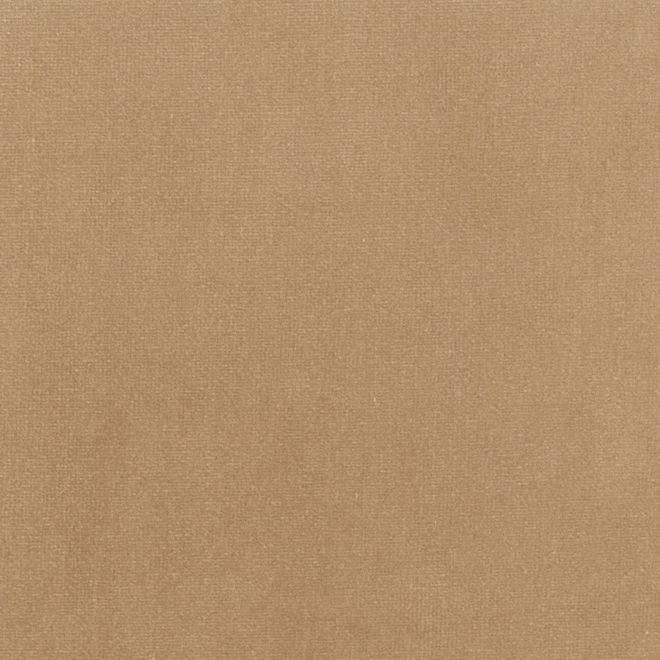 Бархатная однотонная ткань Élitis Palatine ARCH-00143253 - Вид №67