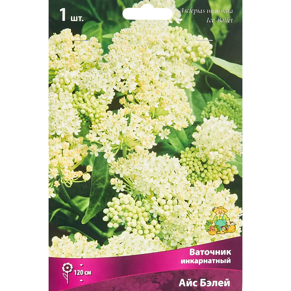 Ваточник инкарнатный Айс Бэлей ПОИСК STLM-2167156