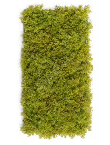 20.072028LG-M Мох Ягель светло-зелёный микс (коврик) Цветочная коллекция