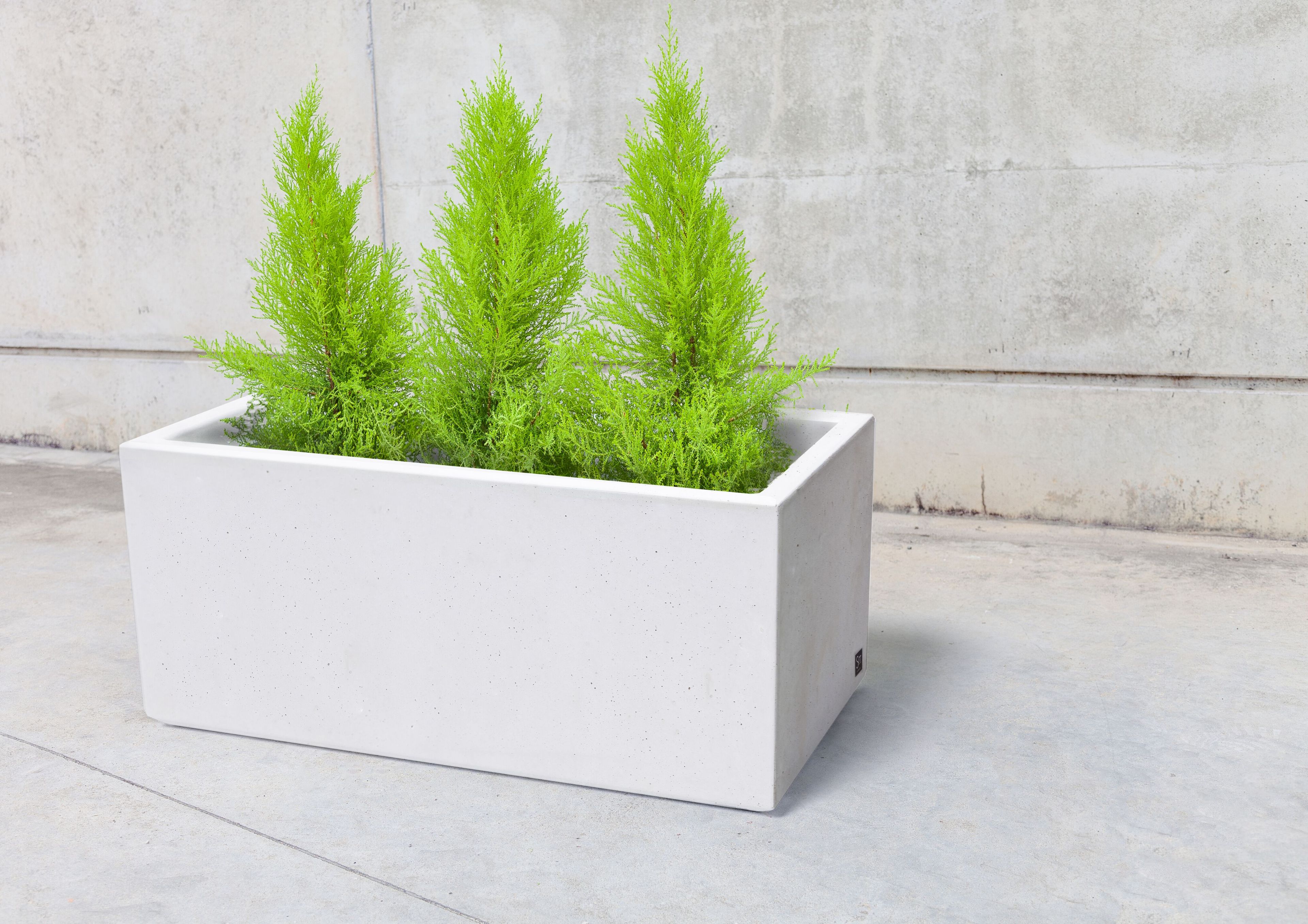 Бетонная плантатор SIT Box to Box ARCH-00144781 - Вид №8