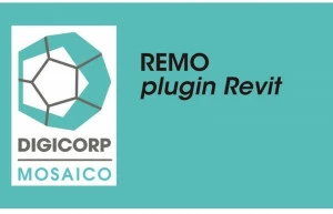 DIGI CORP Разработка луча Suitemosaico