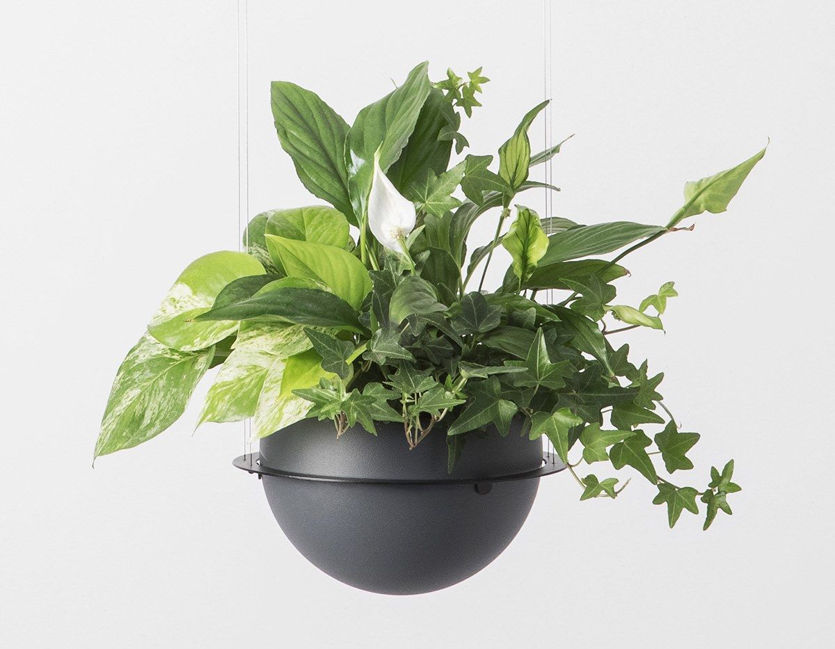 Держатель для горшков из полиэтилена Estiluz Circ ARCH-00057431 - Вид №3