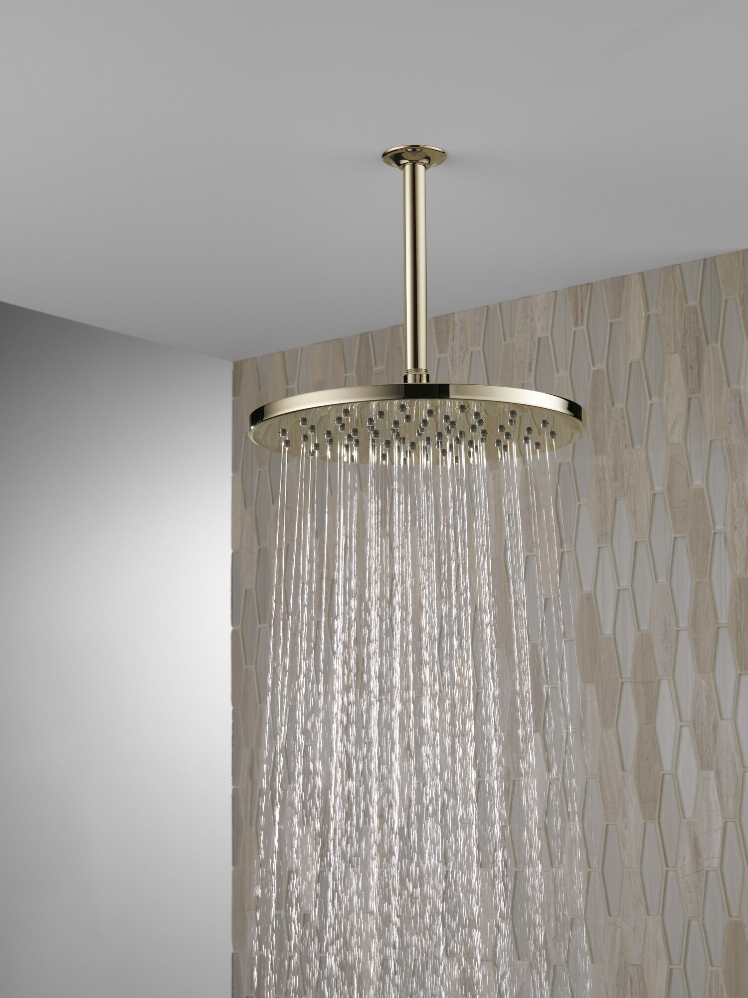52158-PN Металлическая душевая лейка Raincan с одинарной настройкой Delta Faucet Universal Showering Полированный никель  - Вид №1
