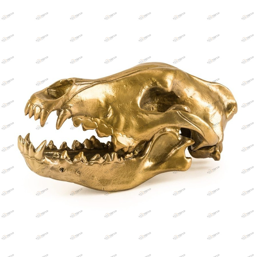 Статуэтка декоративная металлическая 14х28 см золотая Wunderkrammer Wolf Skull SELETTI  00-3883242 Золото 