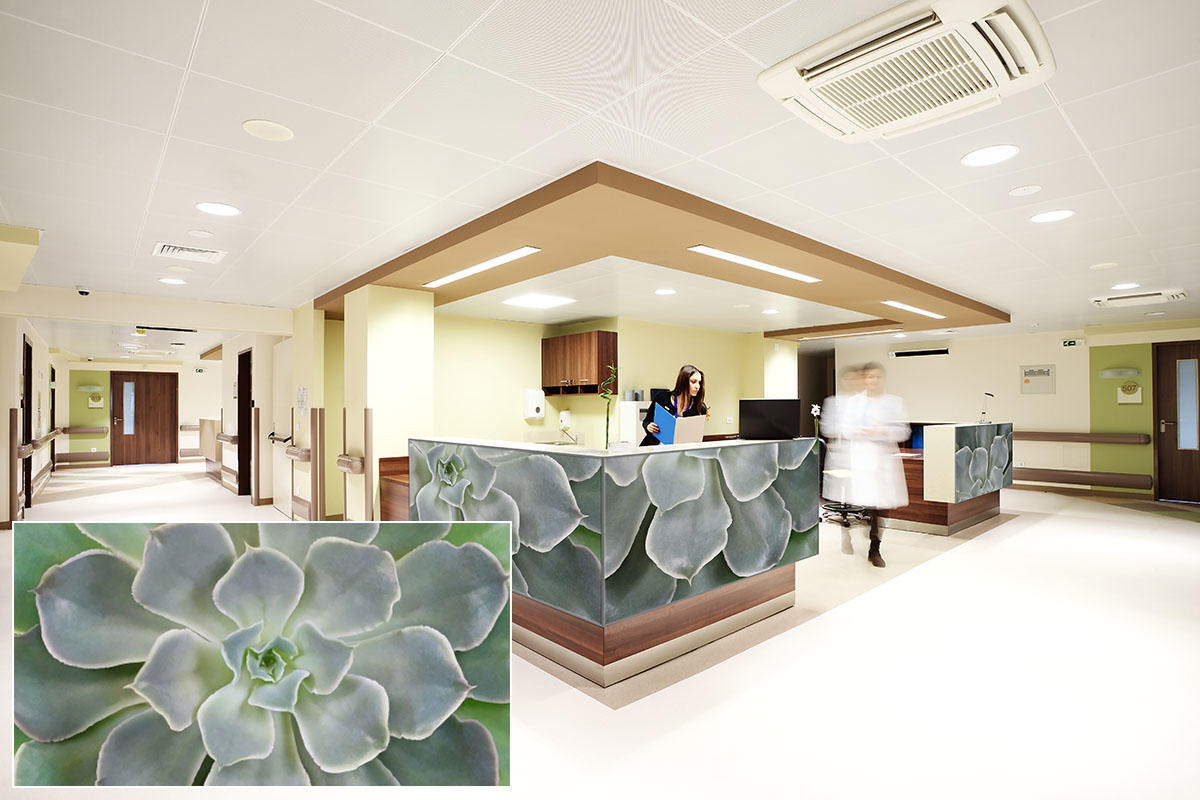 FSRT375 Зум-стекло Vivispectra с прослойкой из содалита  Forms-surfaces  - Вид №14