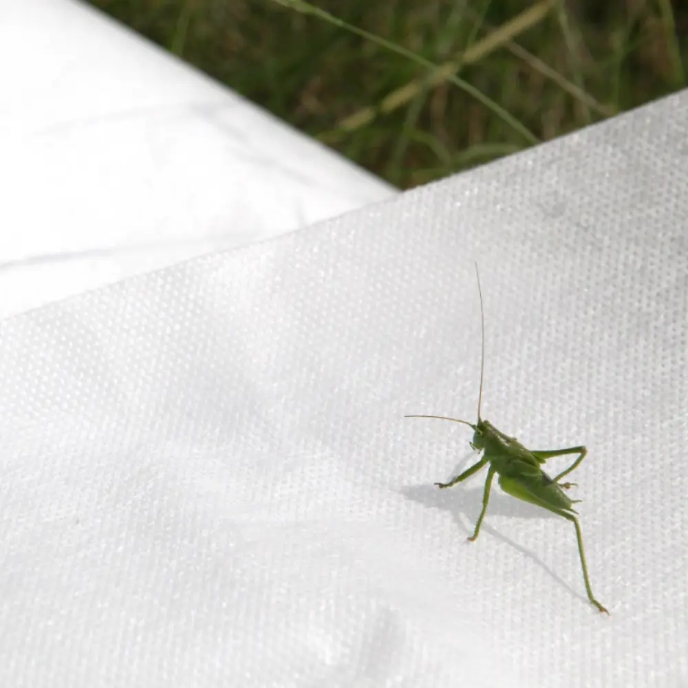 Агротекс — укрывной материал для защиты растений 3.2x40 м 84735477 STLM-0054407 - Вид №3