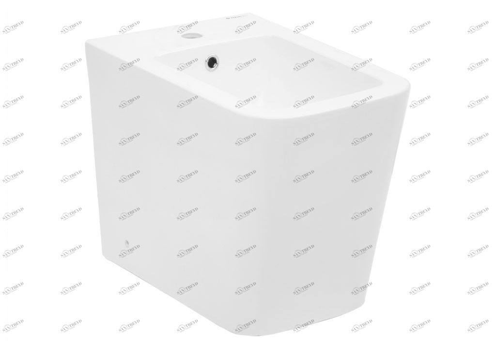 BL103FSB Биде напольное TAVR Aquanet