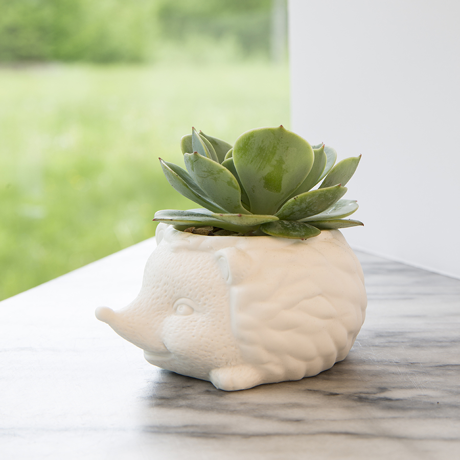 PL09 Кашпо prickles the hedgehog Kikkerland  - Вид №2