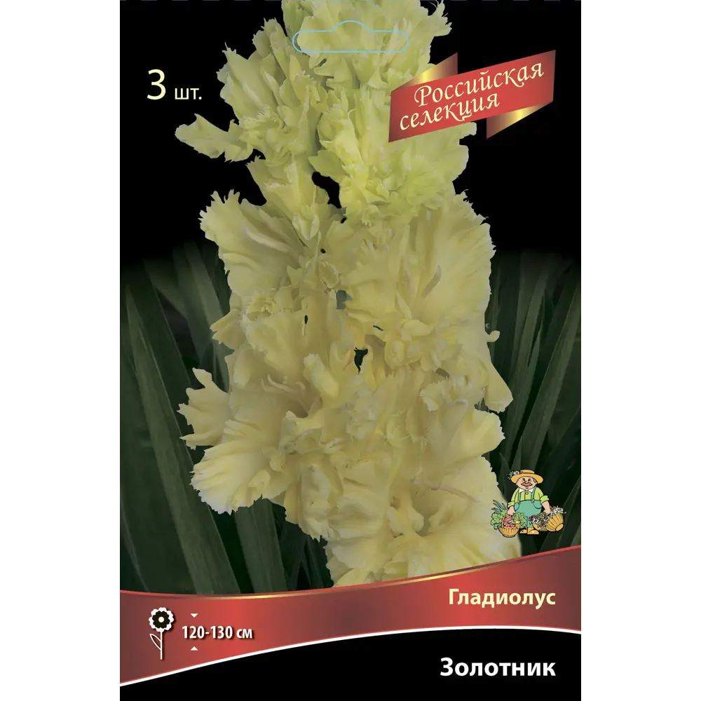 Гладиолус Золотник, 3 шт. 89351815 STLM-2118715 ПОИСК 