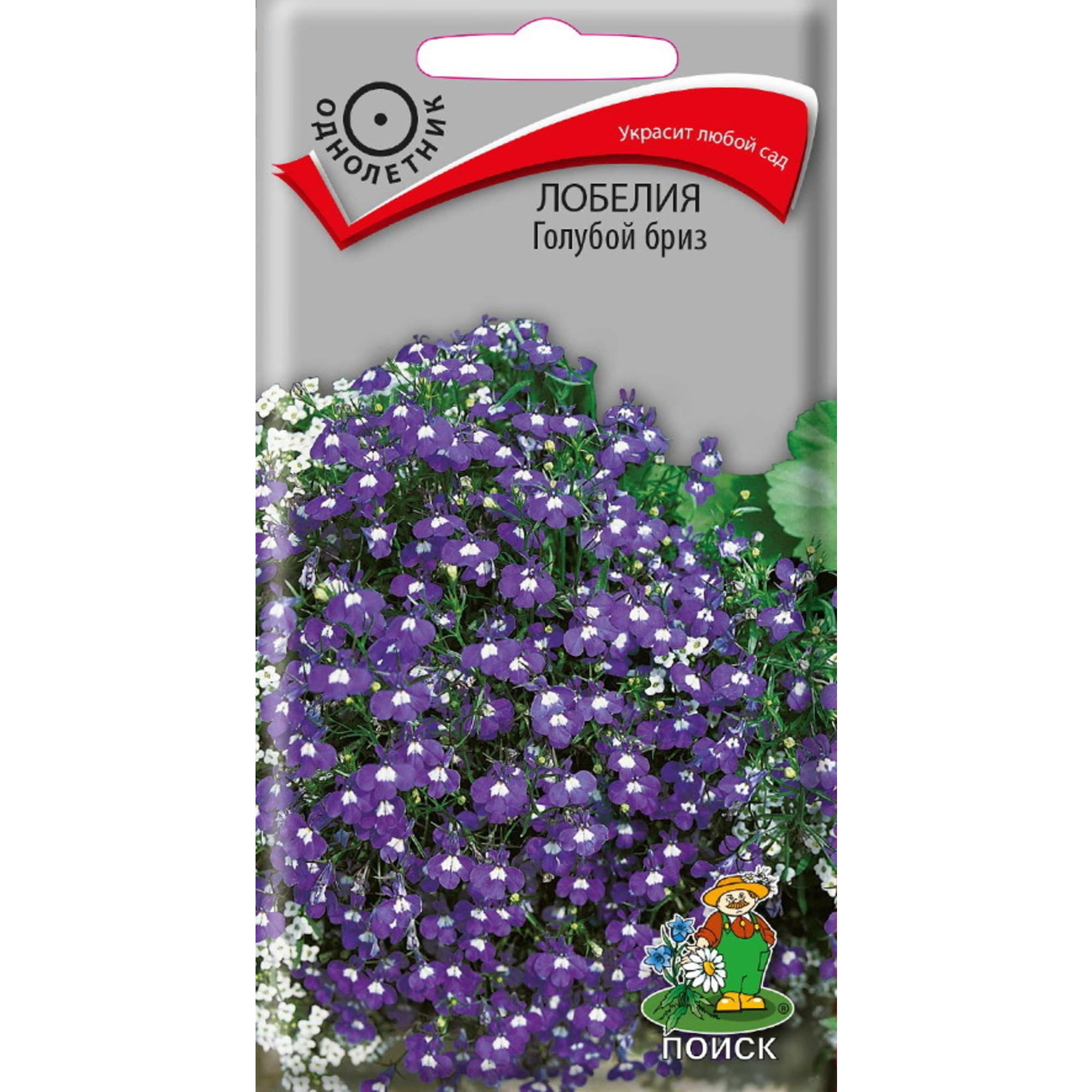 83227384 Семена Лобелия «Голубой Бриз» Santreyd 