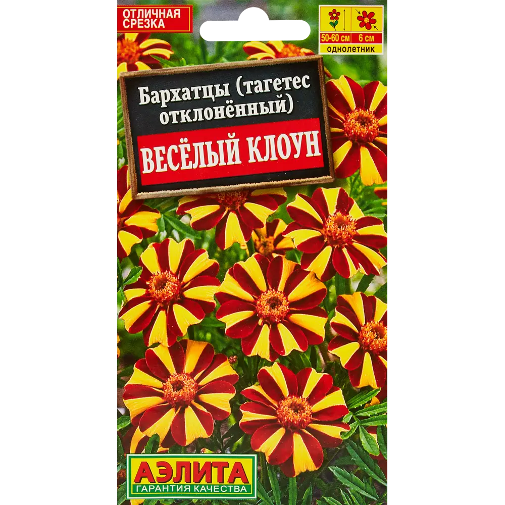 Бархатцы Веселый клоун h23 см 13075714 STLM-2004574 Santreyd 