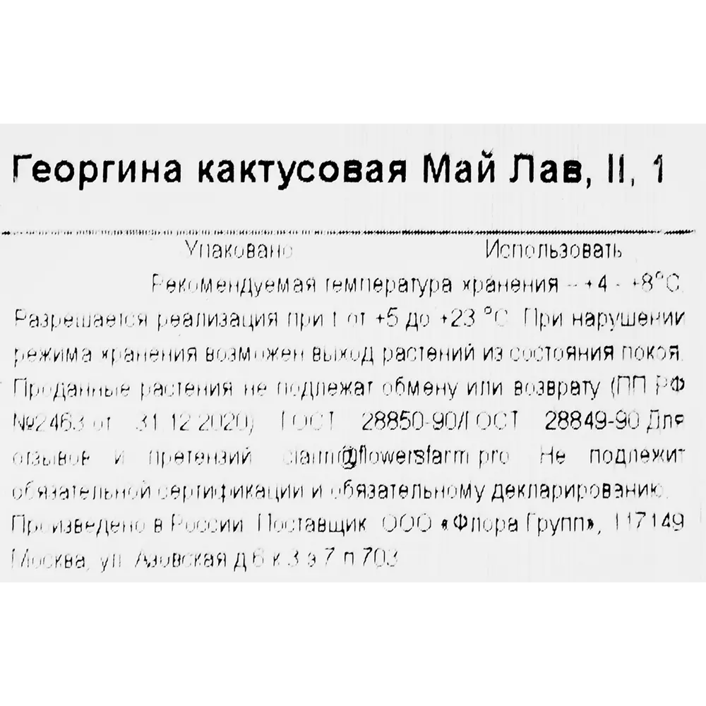 Георгина кактусовая Май Лав 86735802 STLM-2123183 Santreyd  - Вид №2