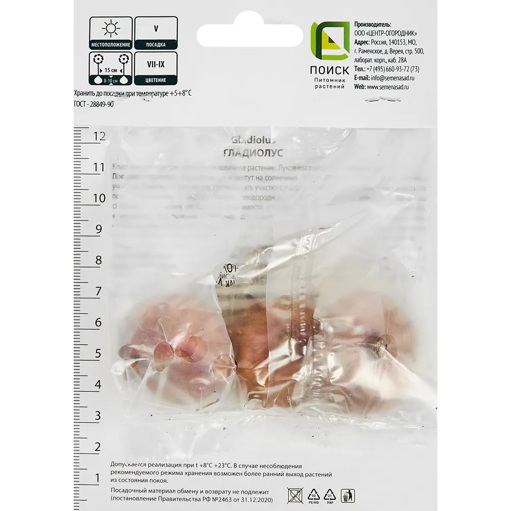 Гладиолус крупноцветковый Прага, 5 шт. 89351793 STLM-2185951 ПОИСК  - Вид №1