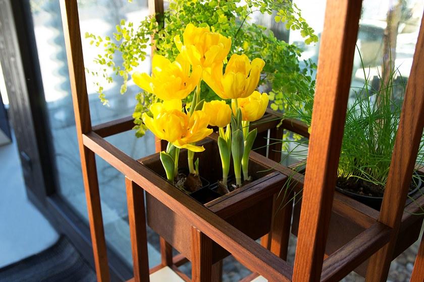 KARN Книжный шкаф из массива дерева Karn design Klct10 - Вид №5