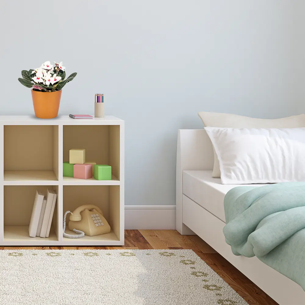 Santreyd Сенполия биколор микс - узумбарская фиалка в горшке 14750611 STLM-1339838 - Вид №1