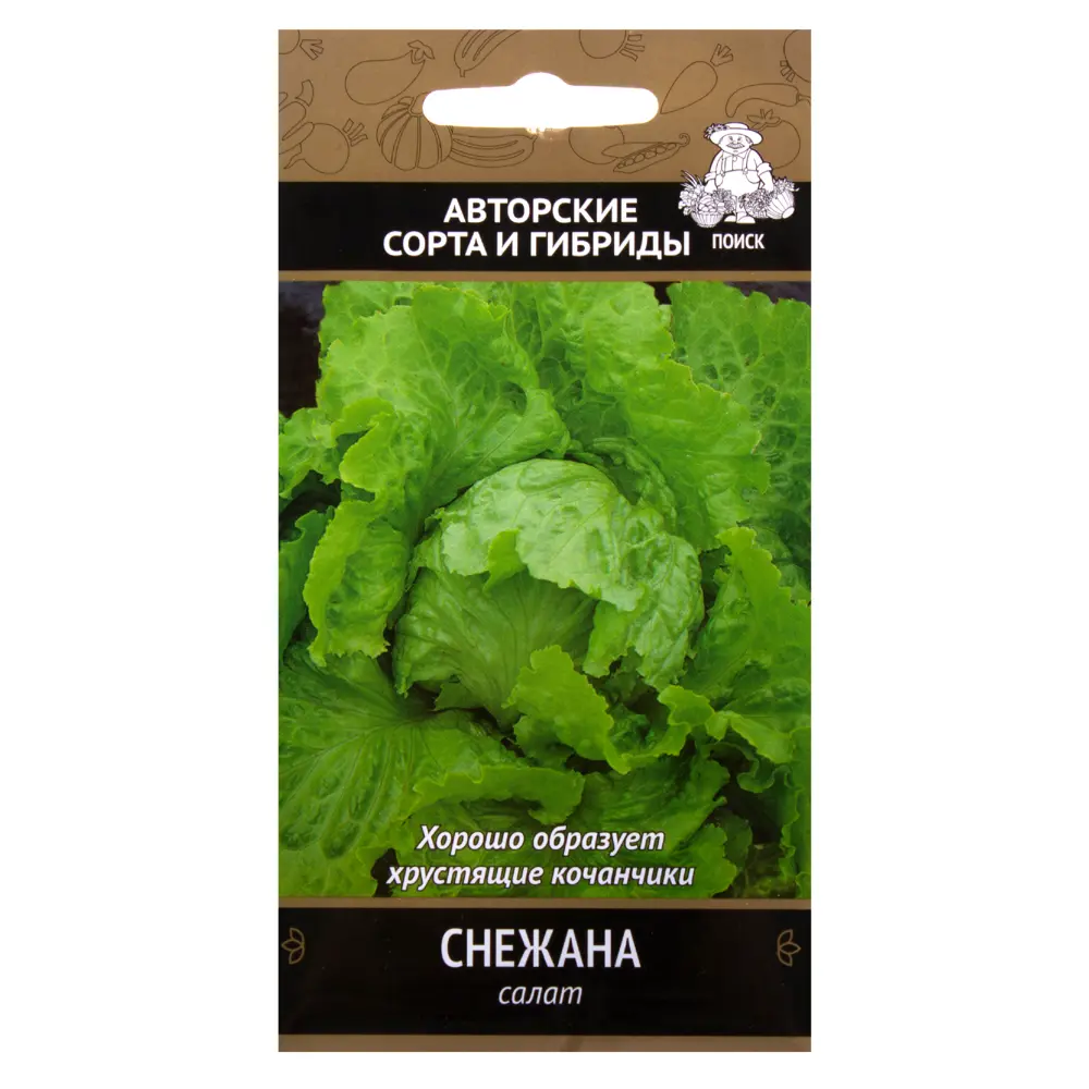 Семена Салат «Снежана» 17229928 STLM-2057149 ПОИСК 