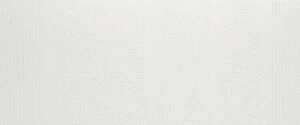 Blak &White Boutique Blanco 25х60