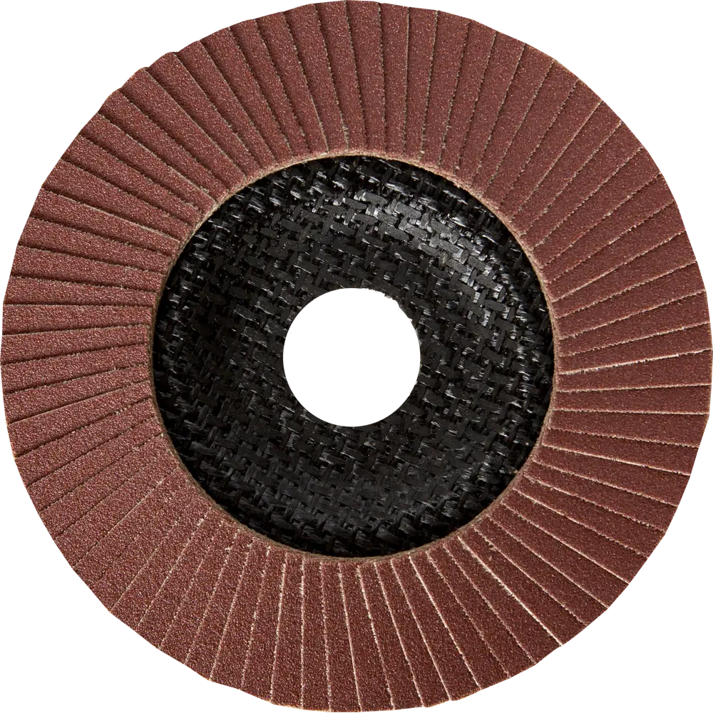 Лепестковый шлифовальный диск Dexter для металла 125х22,2 мм 82007330 STLM-0017005