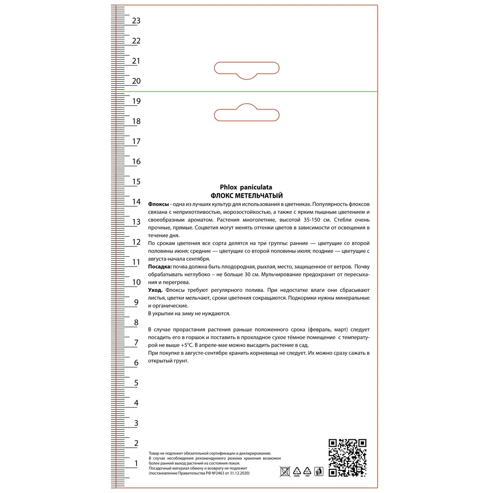 Флокс метельчатый Виктория ПОИСК STLM-2141901 - Вид №1